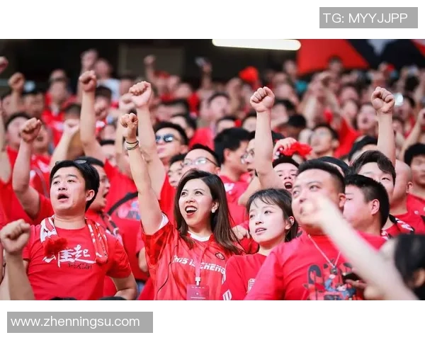 成都乒乓球队实力引发热议球迷与专家各执己见的背后故事